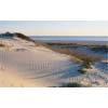 Amelia Island Nature Center